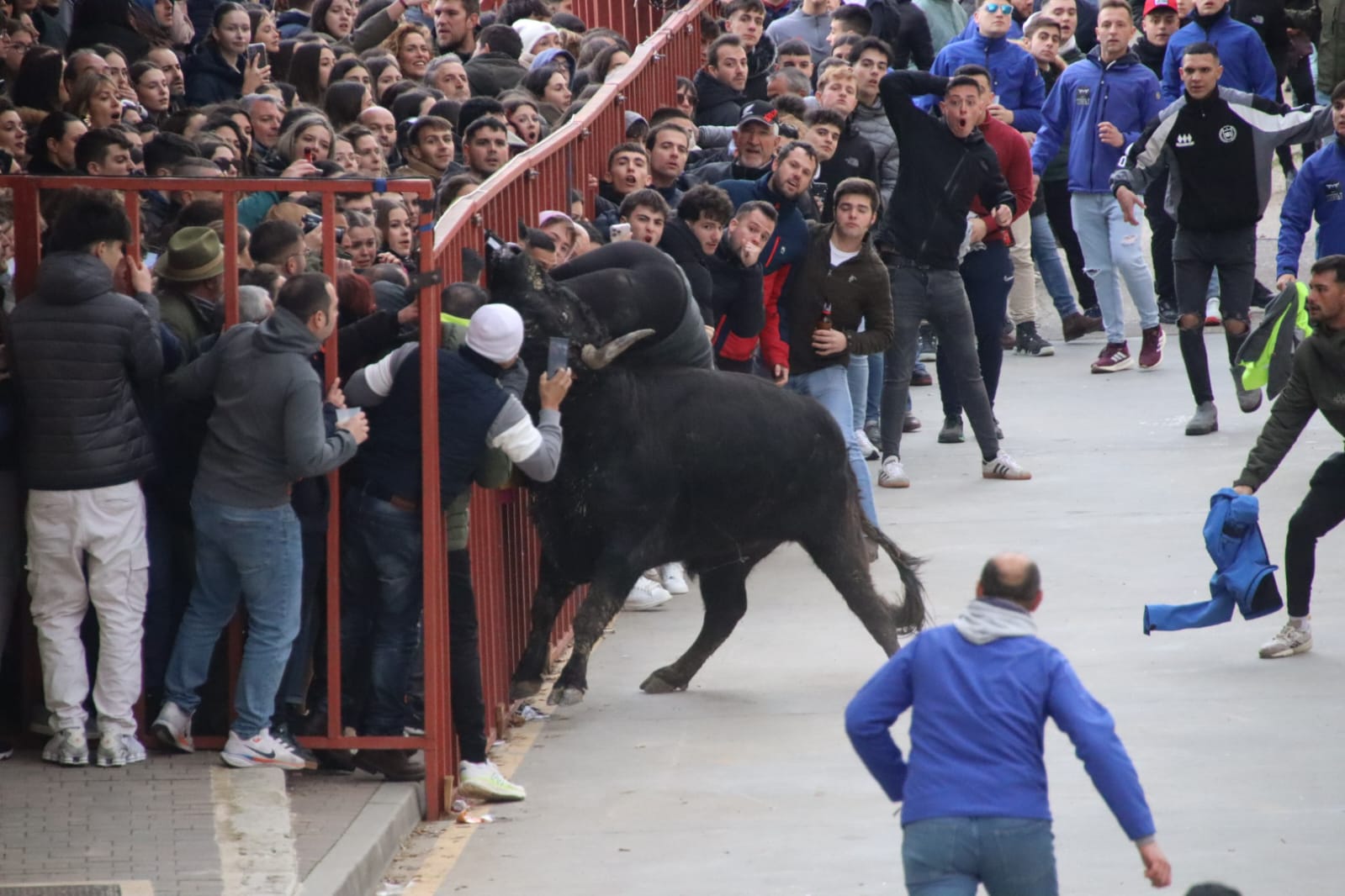 Secuencia de la aparatosa cogida a un aficionado en el Toro de Carnaval de Rioseco