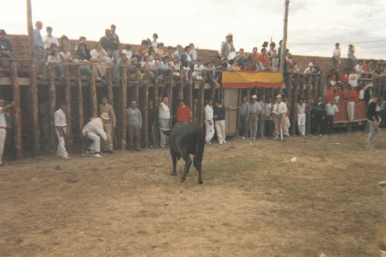Festejo taurino. Julio de 1988.