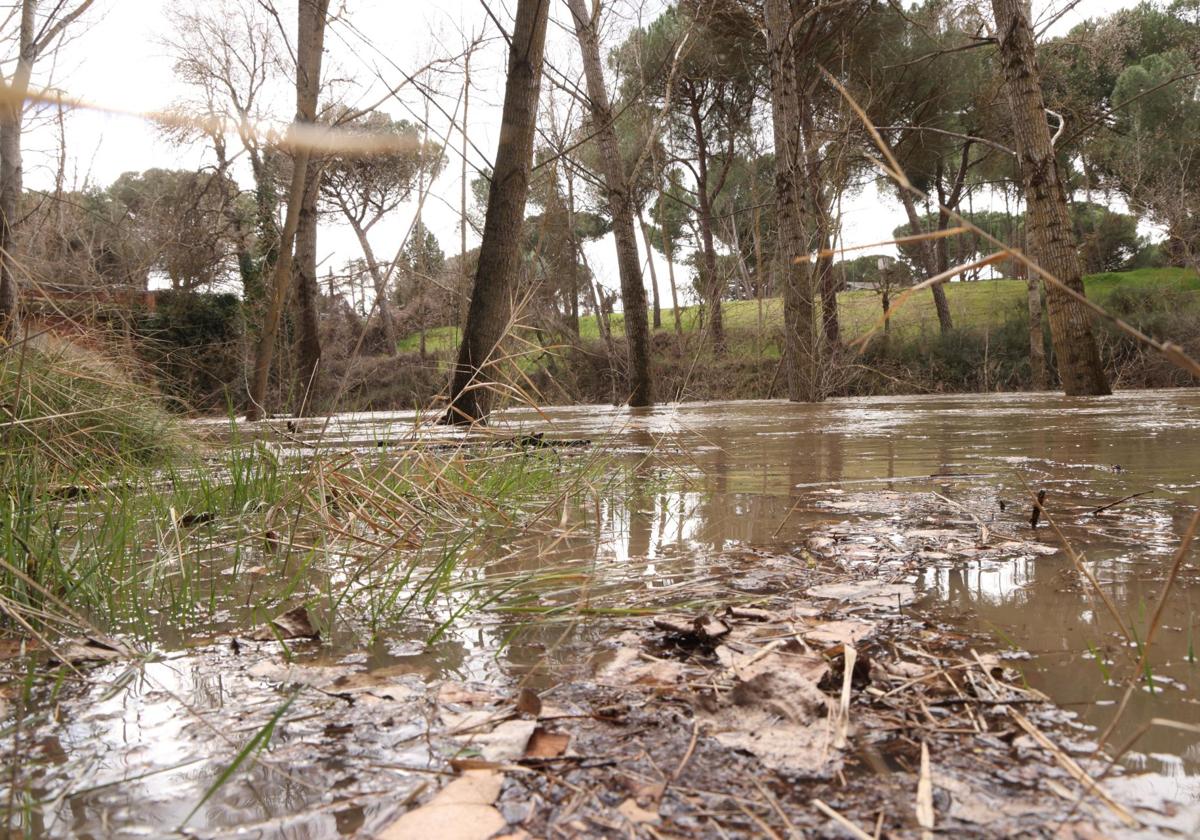 La crecida del río Cega, en imágenes