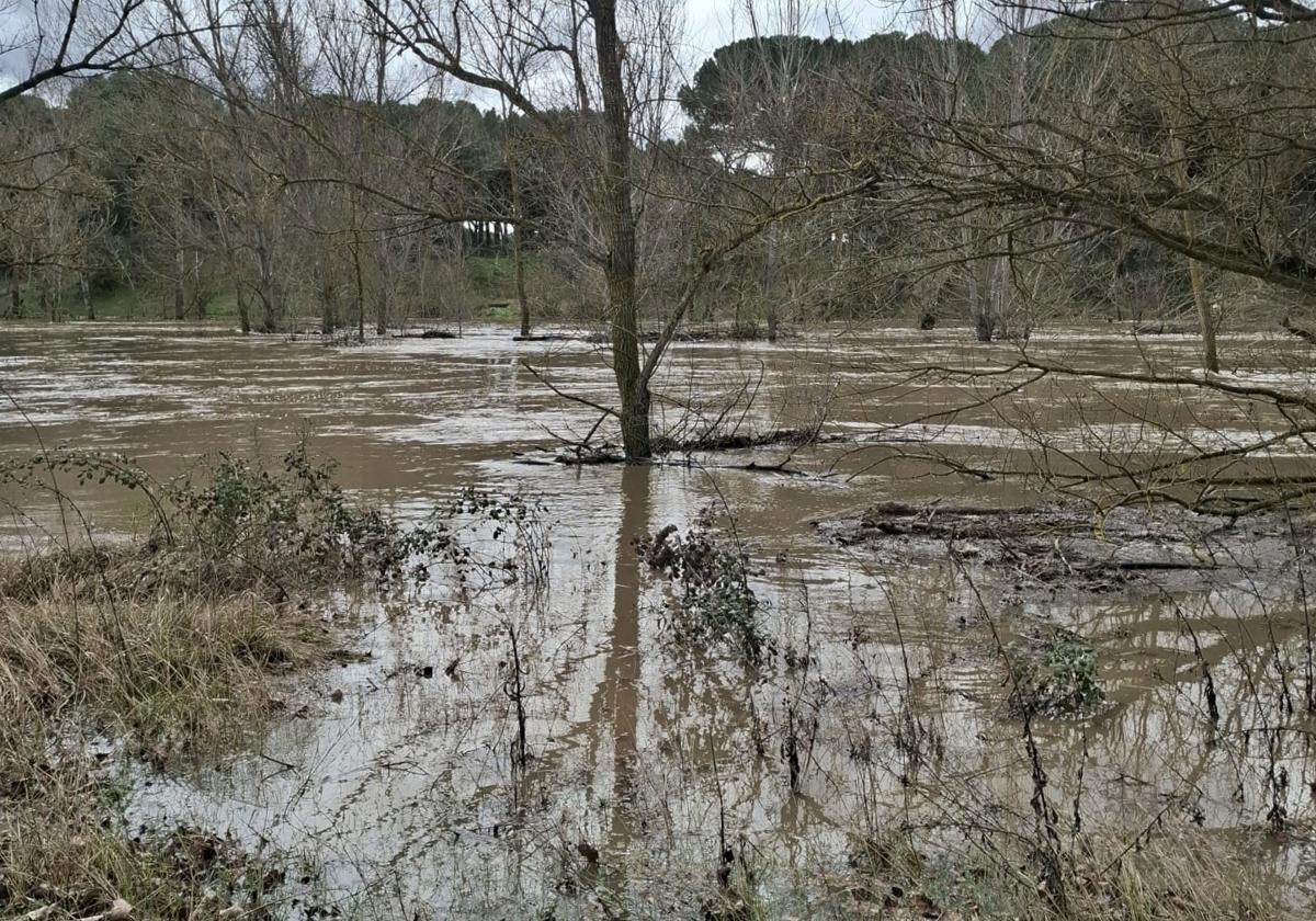 Zona afectada por la crecida en Villanueva de Duero.