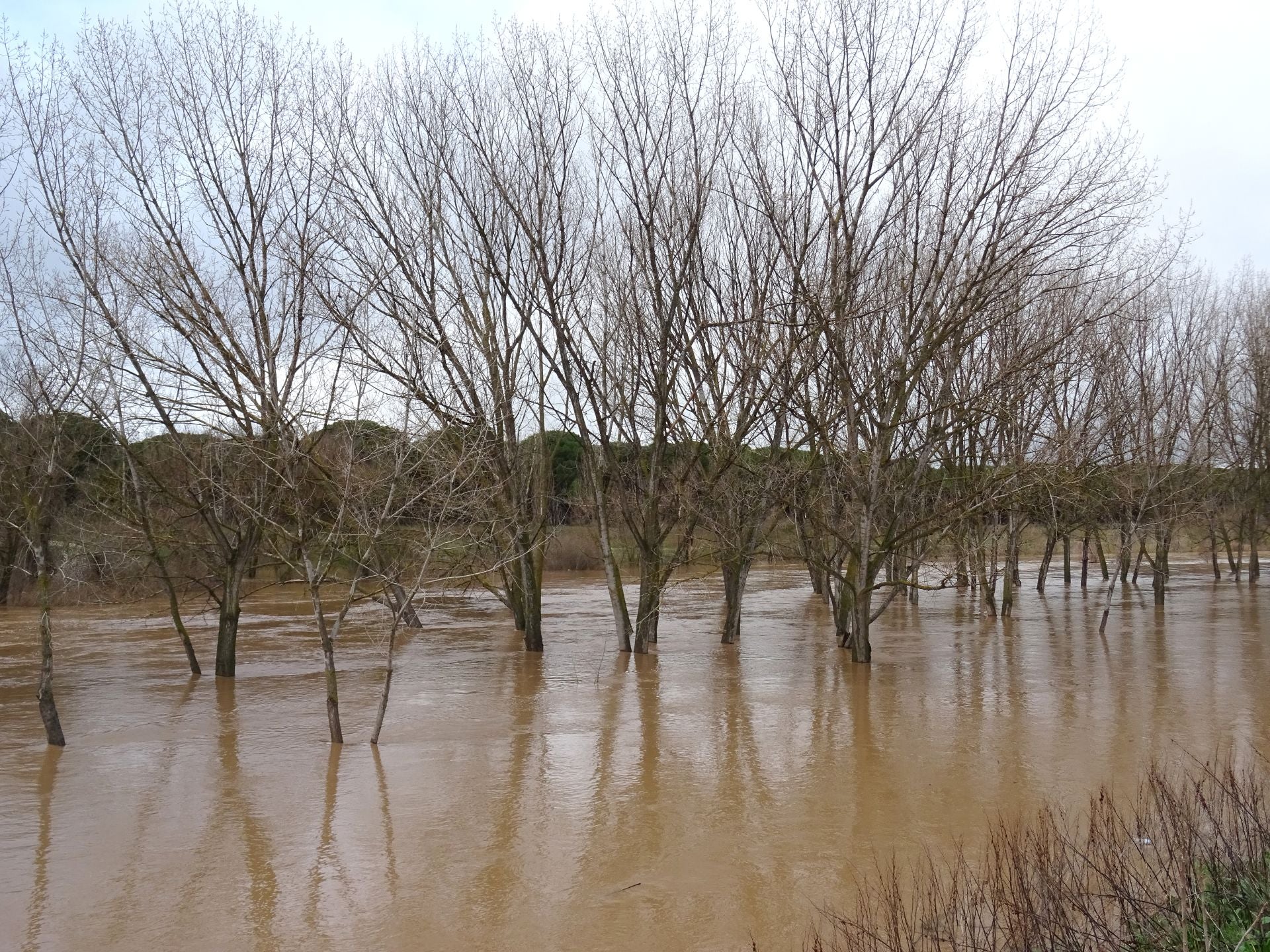 Las imágenes del Duero desbordado en Valladolid