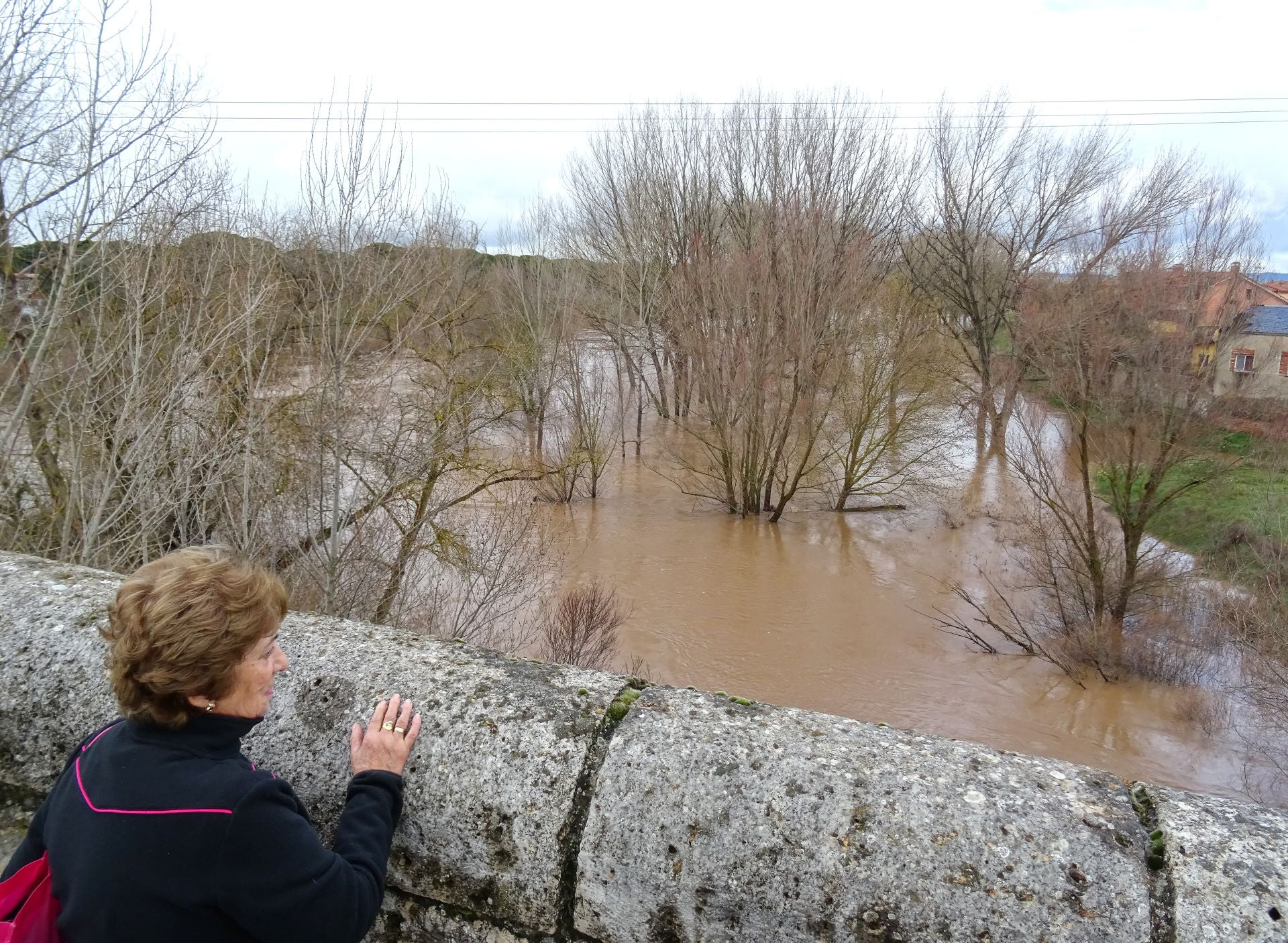 Las imágenes del Duero desbordado en Valladolid