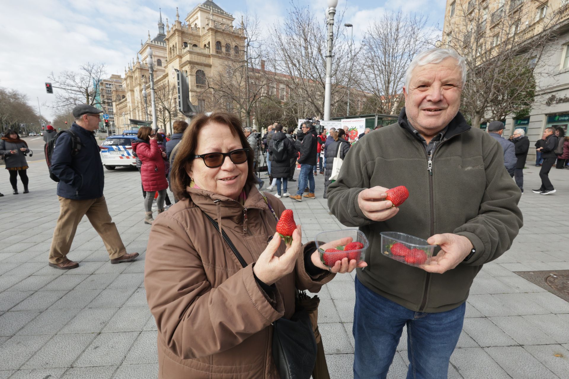 Así ha sido la entrega de las fresas gratis en la plaza de Zorrilla