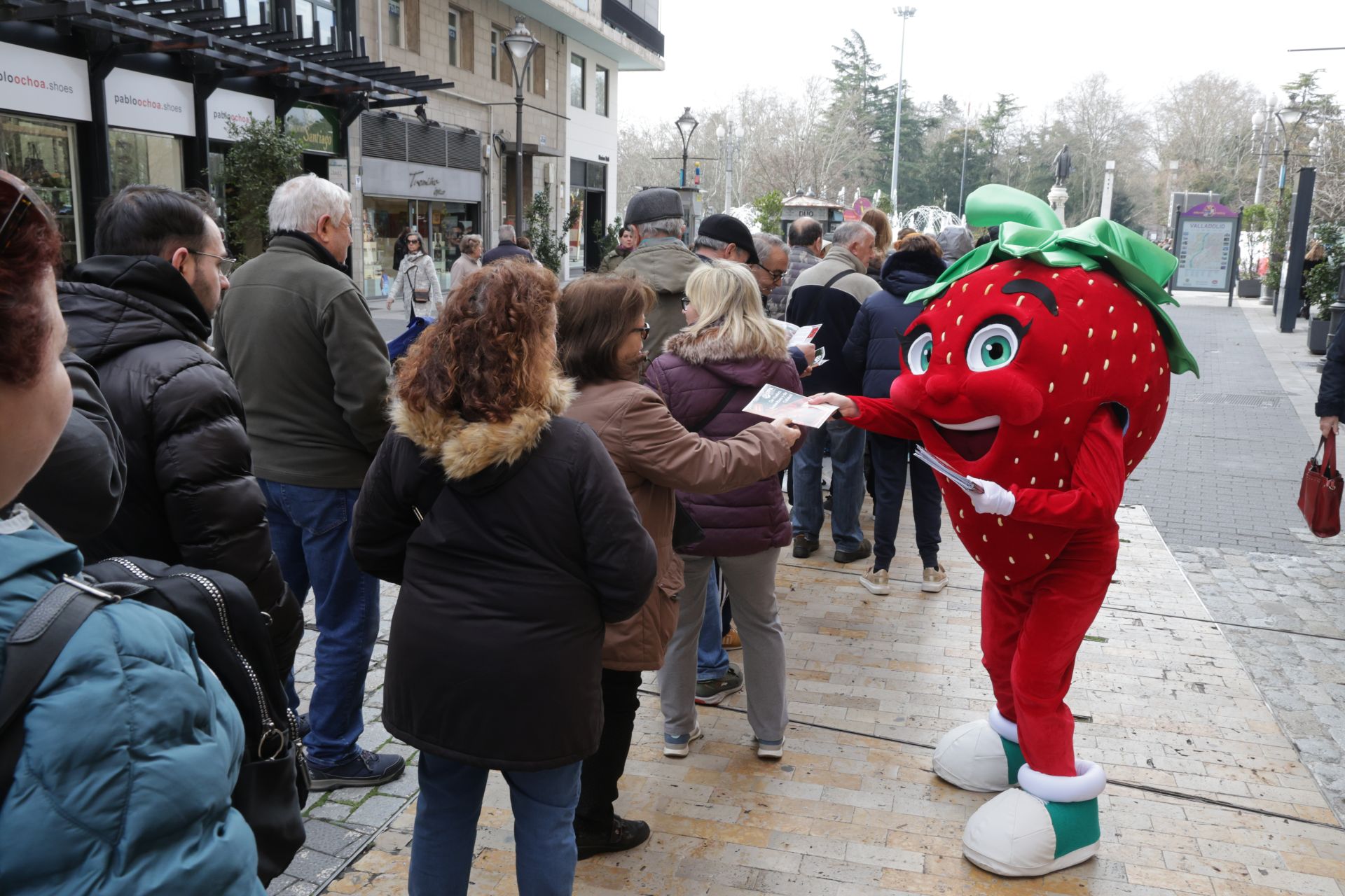 Así ha sido la entrega de las fresas gratis en la plaza de Zorrilla