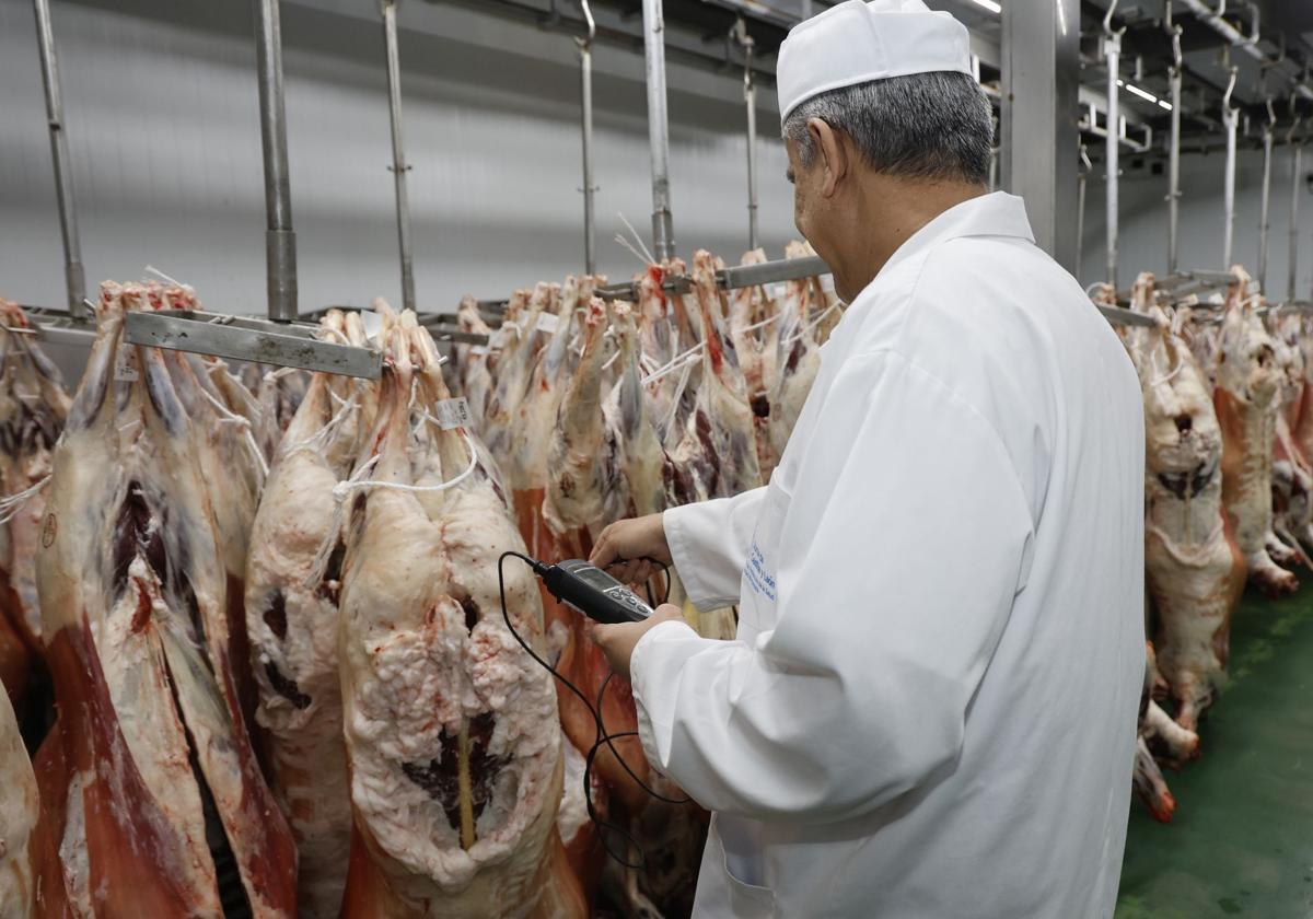 Los veterinarios de los mataderos denuncian una situación laboral insostenible