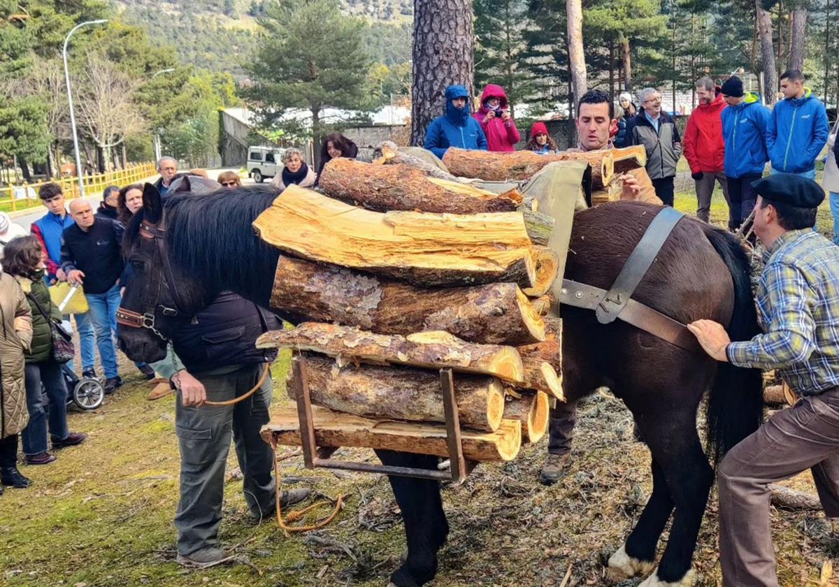 Fotos de la fiesta de Los Gabarreros en El Espinar
