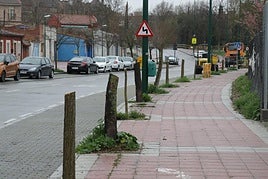 La hilera de árboles talados en la calle Valle de Arán, en dirección al paseo del Cauce.
