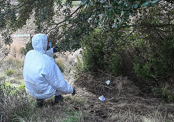 La Policía Científica trabaja en el lugar donde apareció el cadáver de Andrea Bejarano en un pueblo de Burgos.