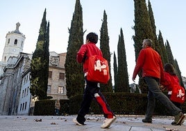 Los cipreses que crecen junto a la catedral de Valladolid.
