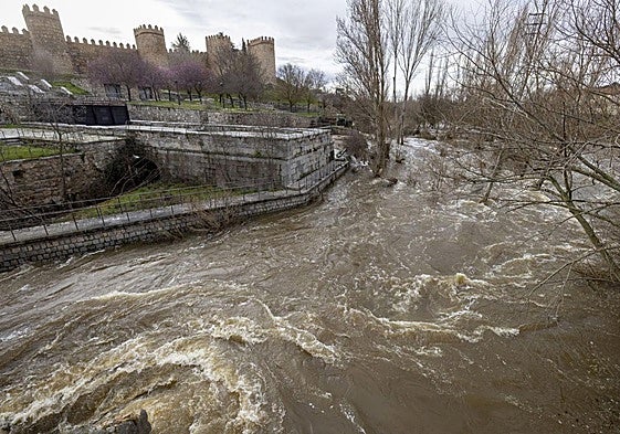 El río Adaja a su paso por Ávila capital el pasado sábado.
