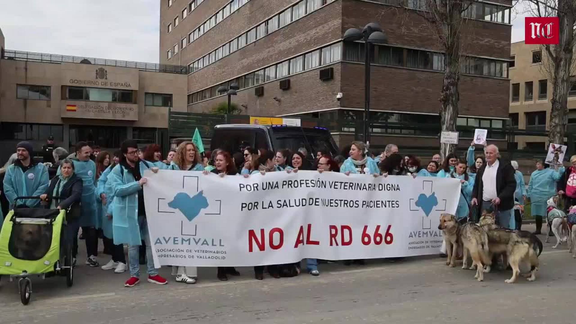 Los veterinarios reivindican su autonomía para prescribir medicamentos en Valladolid