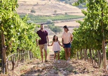 La Ruta del Vino Ribera del Duero, una experiencia enoturística que marida gastronomía, cultura y emociones