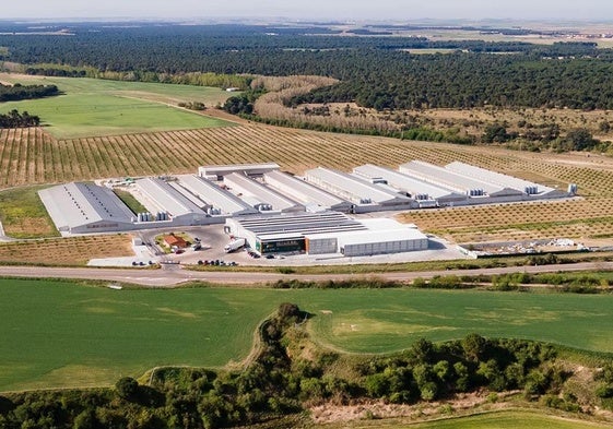 Centro de producción de la empresa avícola Granja Pinilla en Olmedo.