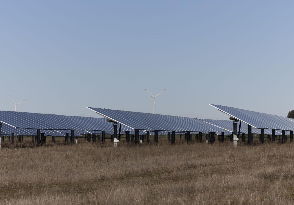 Vox denuncia la instalación masiva de placas solares en Villalba de los Alcores