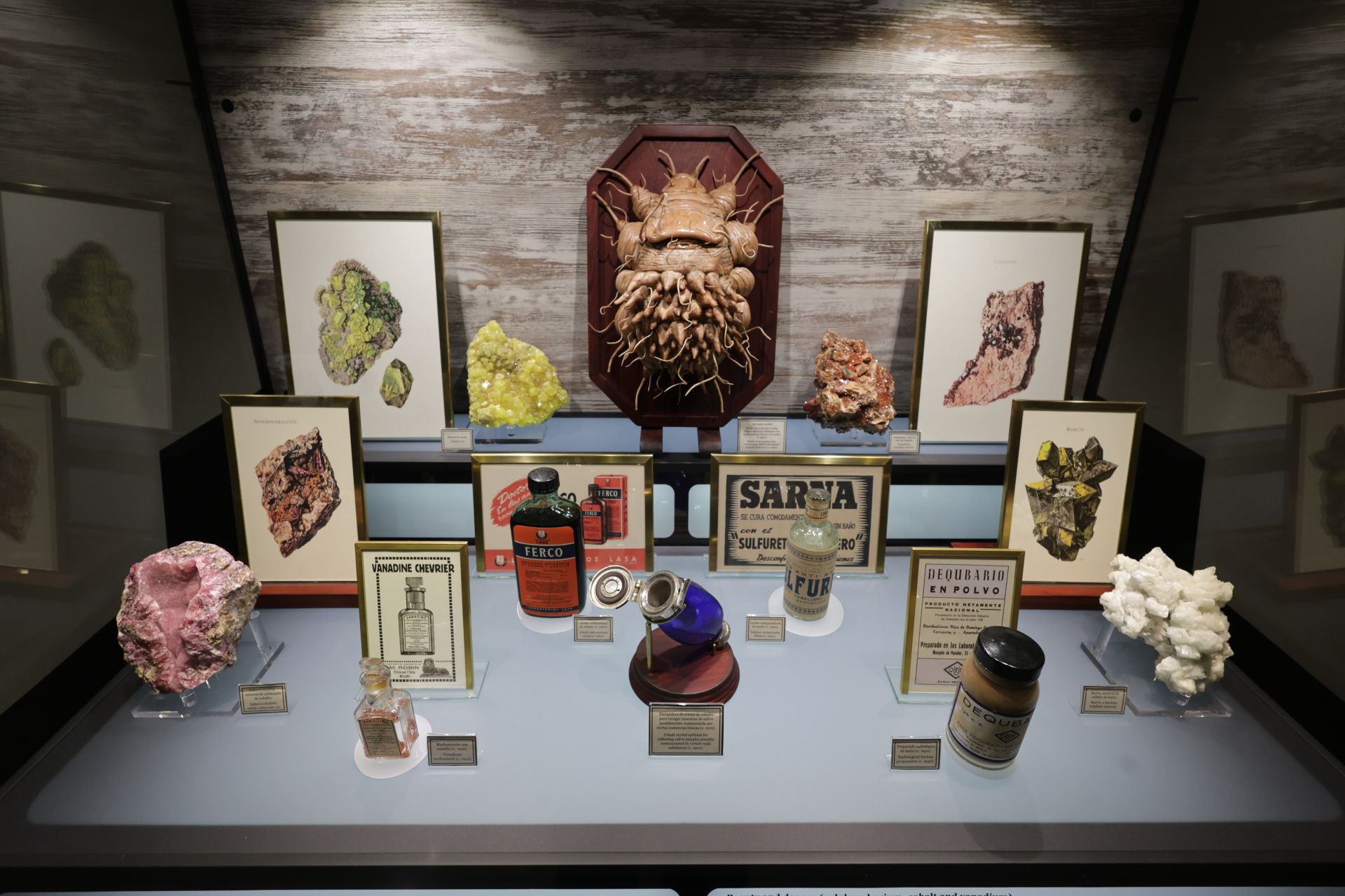 Exposición sobre venenos en el Museo de la Ciencia de Valladolid