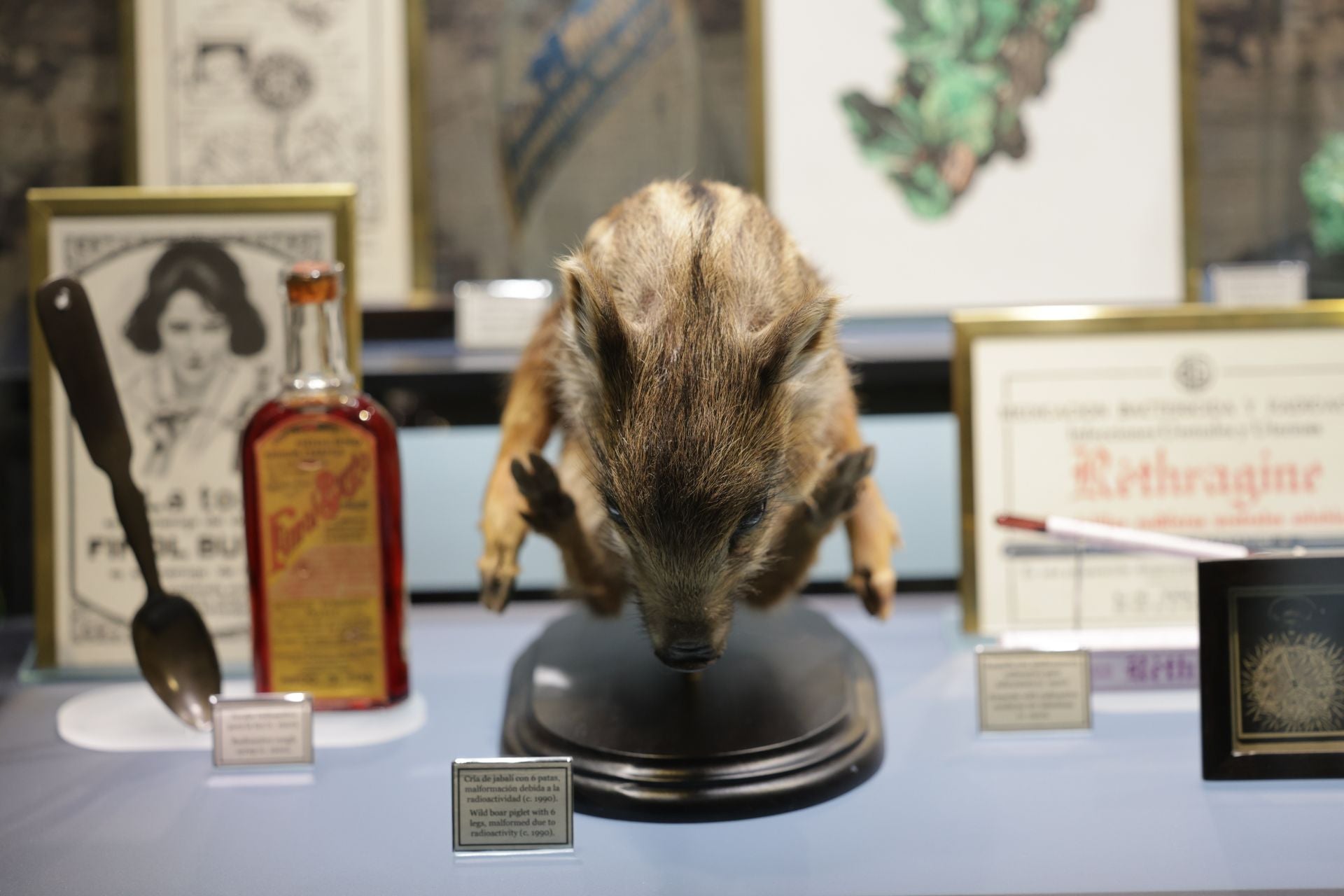 Exposición sobre venenos en el Museo de la Ciencia de Valladolid