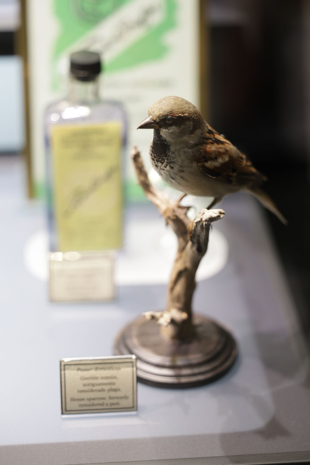 Exposición sobre venenos en el Museo de la Ciencia de Valladolid