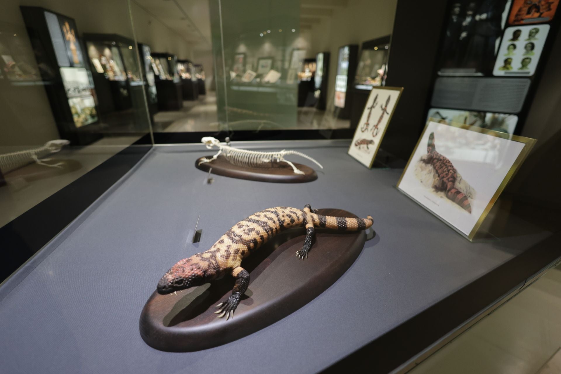 Exposición sobre venenos en el Museo de la Ciencia de Valladolid