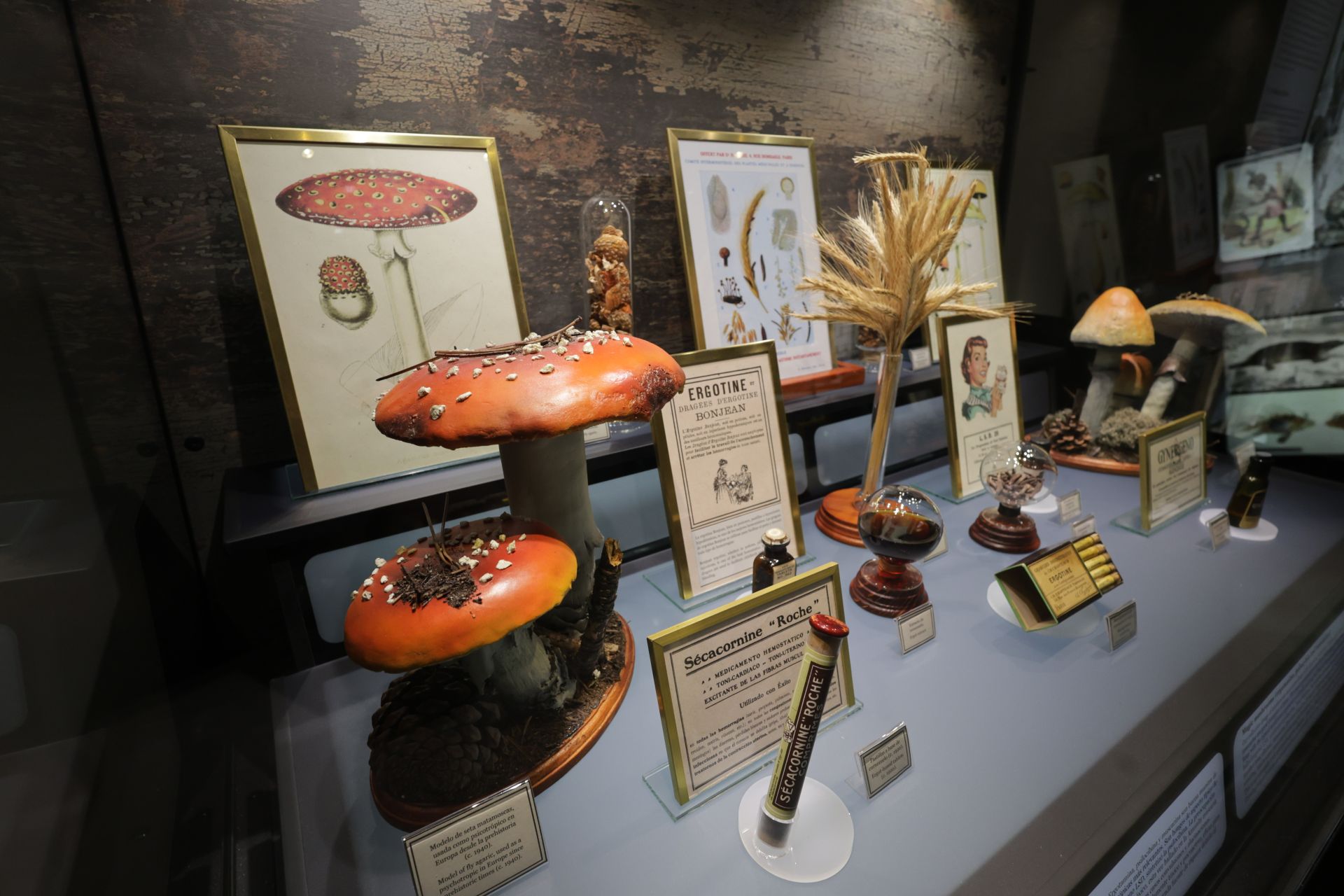 Exposición sobre venenos en el Museo de la Ciencia de Valladolid
