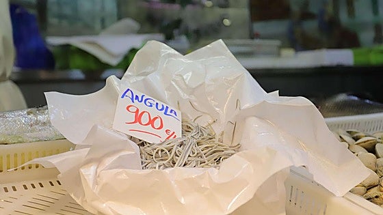 Una empresa gallega producirá en Soria un sustitutivo de las angulas