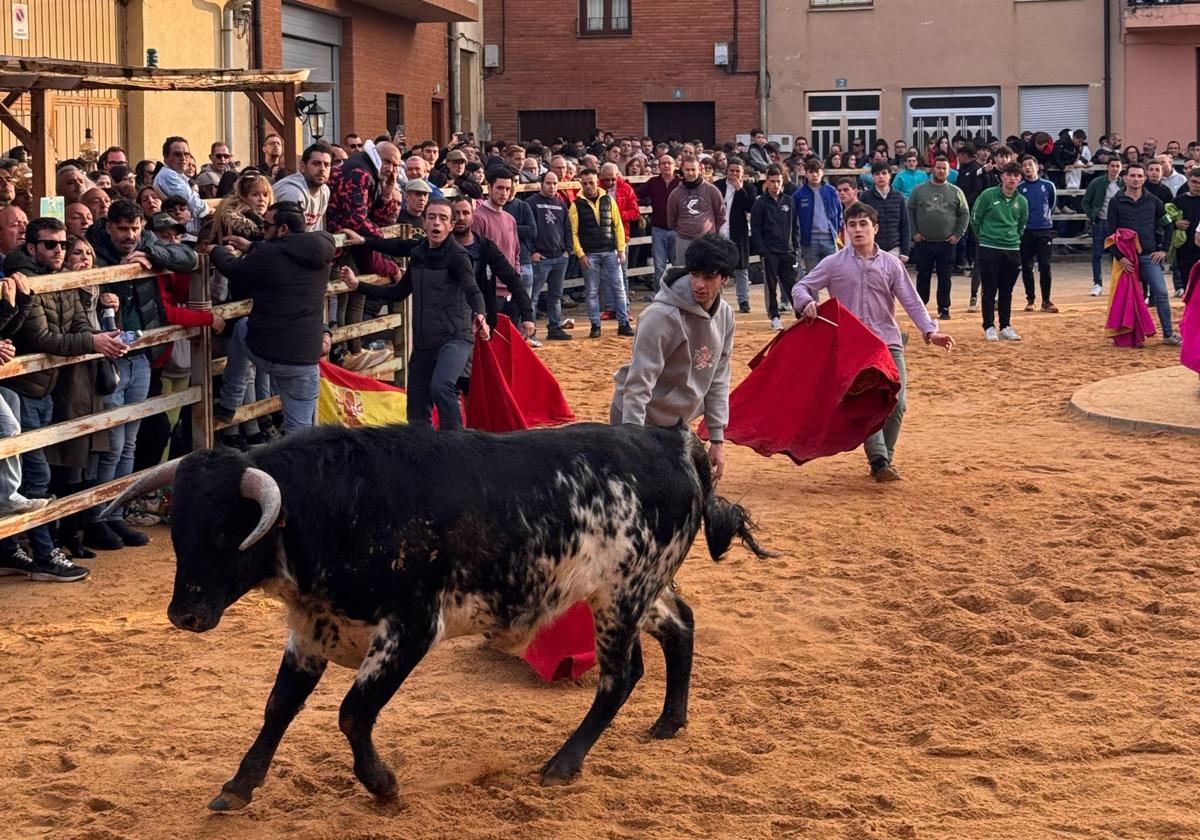Celebración de la suelta del Tortillero en el plaza de San Pedro