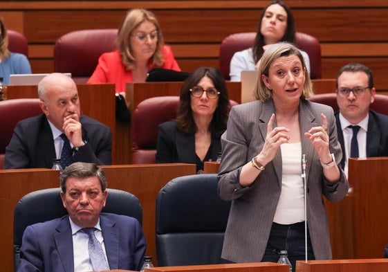 La consejera de Famila, Isabel Blanco, durante su intervención este martes en el pleno de las Cortes.
