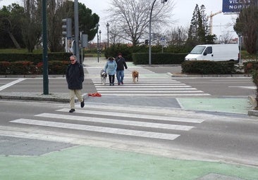 La Mancomunidad de Valladolid y su alfoz instalará señales luminosas en los pasos de peatones