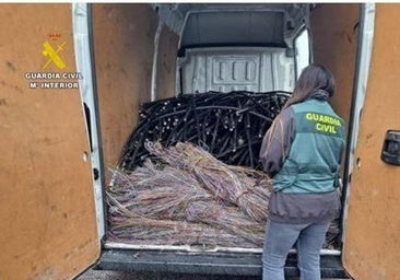Veinte detenidos por robar 3.125 kilos de cobre en dos meses