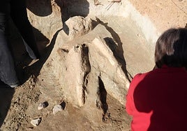 Arqueólogos y restauradores inician las labores de protección de las tres piezas de mastodonte halladas para su posterior extracción.