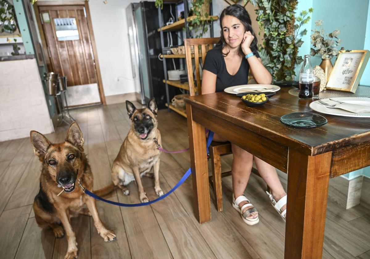 Los cinco establecimientos de Valladolid con 'Solete' Repsol donde las mascotas son bienvenidas