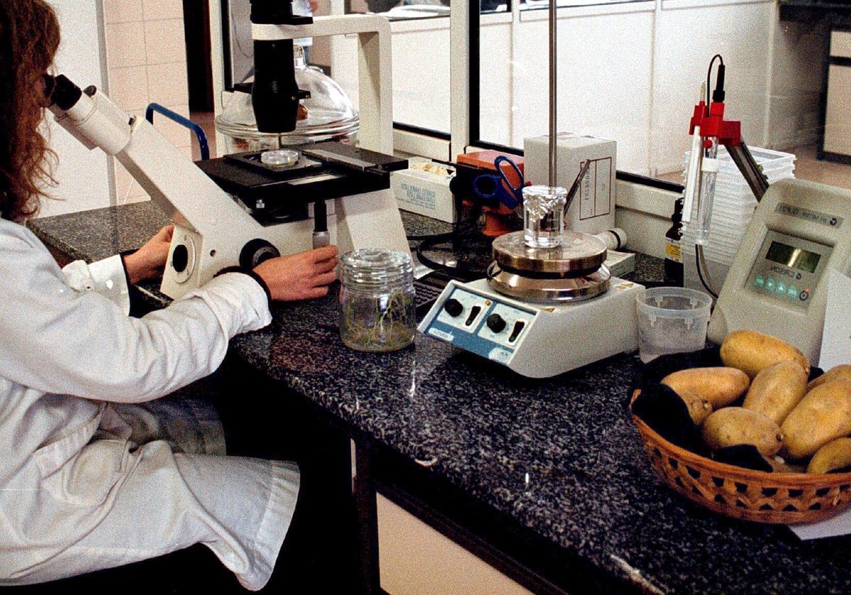 Laboratorio de experimentación agraria de la Junta en Burgos.