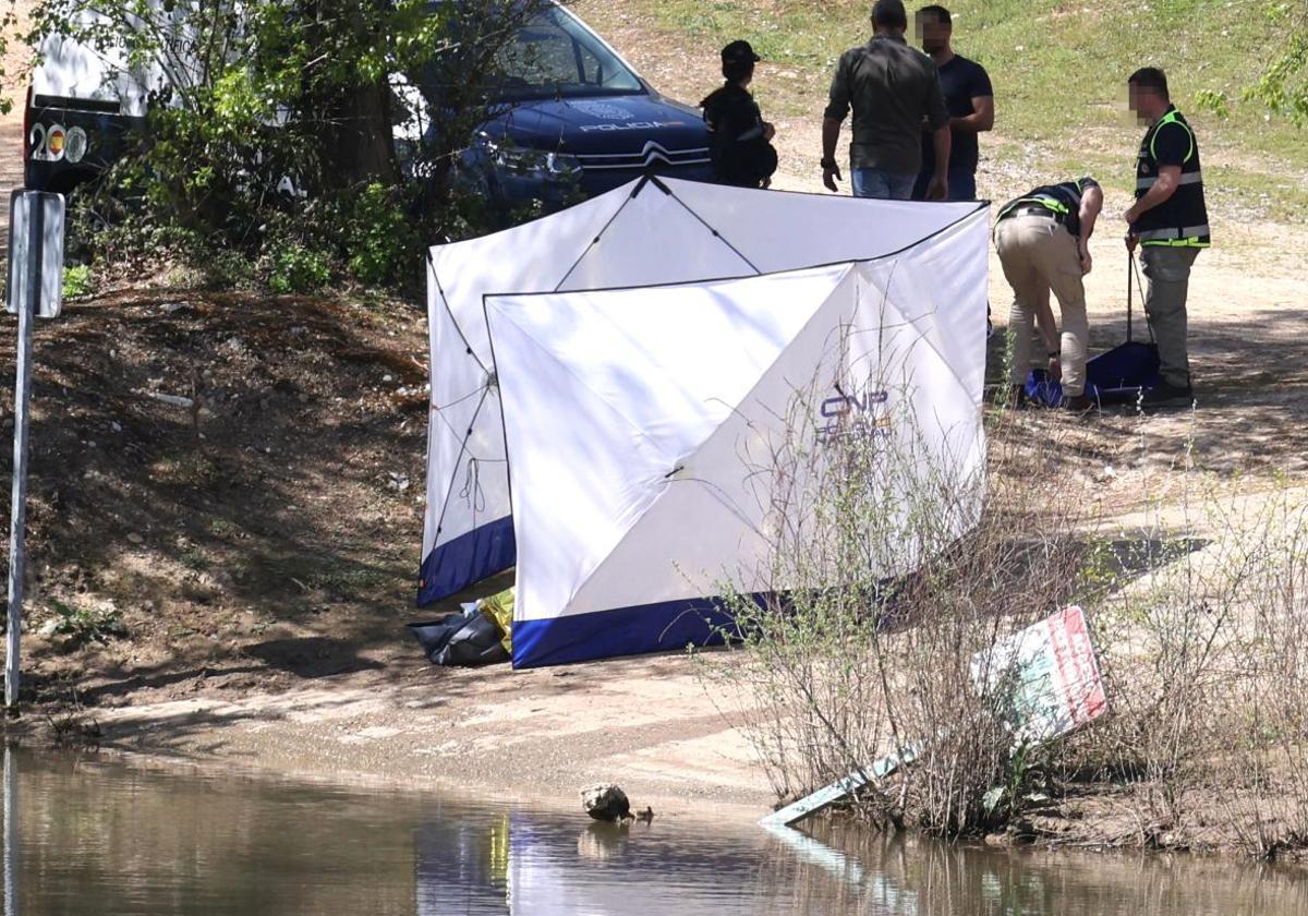 Las noticias más leídas del viernes 11 de abril en El Norte de Castilla