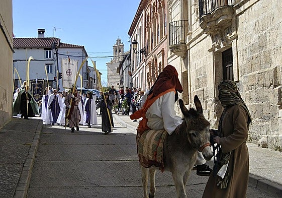 Procesión del Domingo de Ramos en Baltanás.
