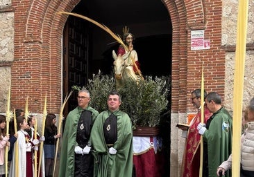 Olmedo vive con gran devoción la Procesión de la Borriquilla