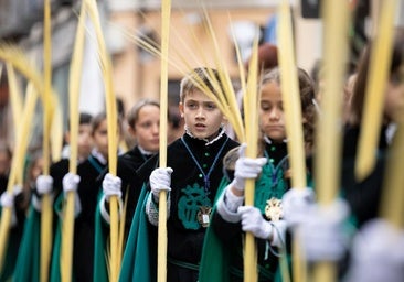 Procesión de las Palmas en Valladolid durante el Domingo de Ramos