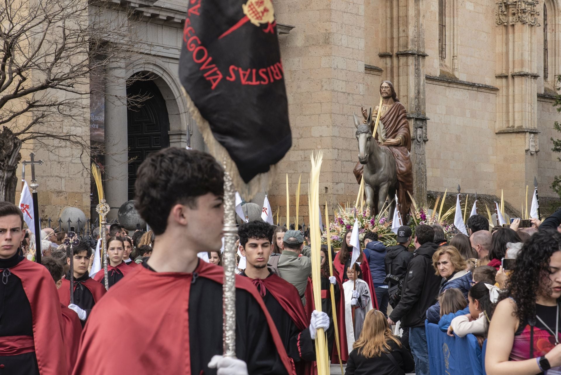 La procesión del Domingo de Ramos, en imágenes