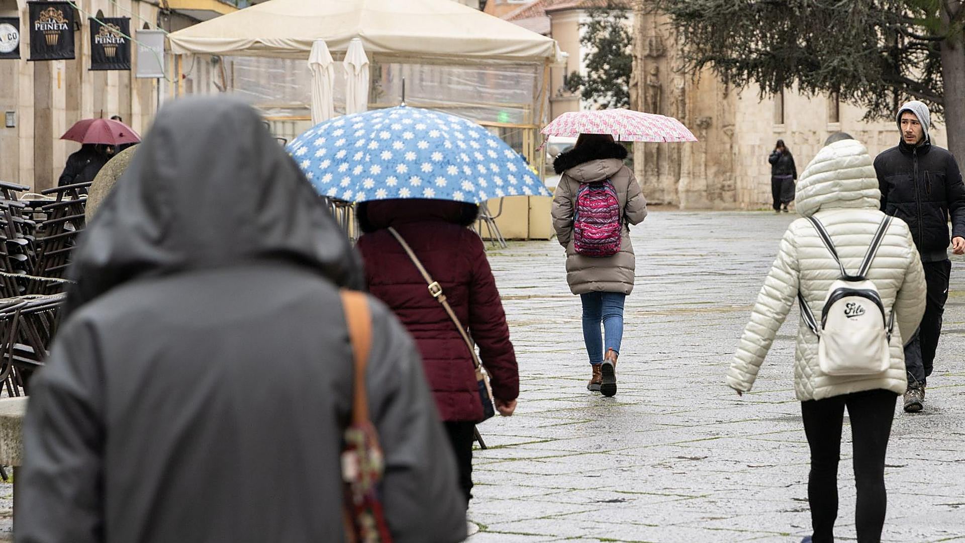 Castilla y León: Rising Bronchitis Cases Among Elderly