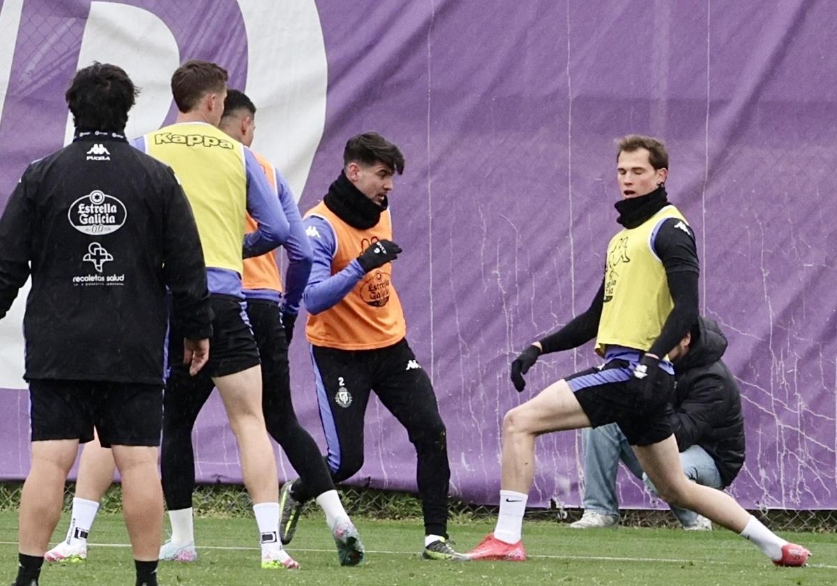 El Real Valladolid, un equipo regular