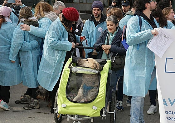Protesta llevada a cabo recientemente por veterinarios ante la Delegación del Gobierno en Castilla y León.