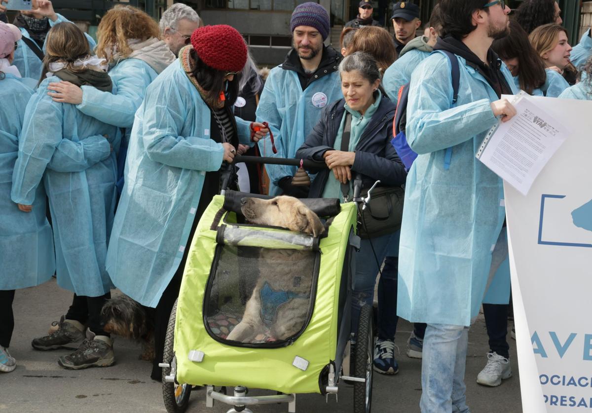 Los veterinarios de Segovia se rebelan contra la nueva prescripción de medicamentos