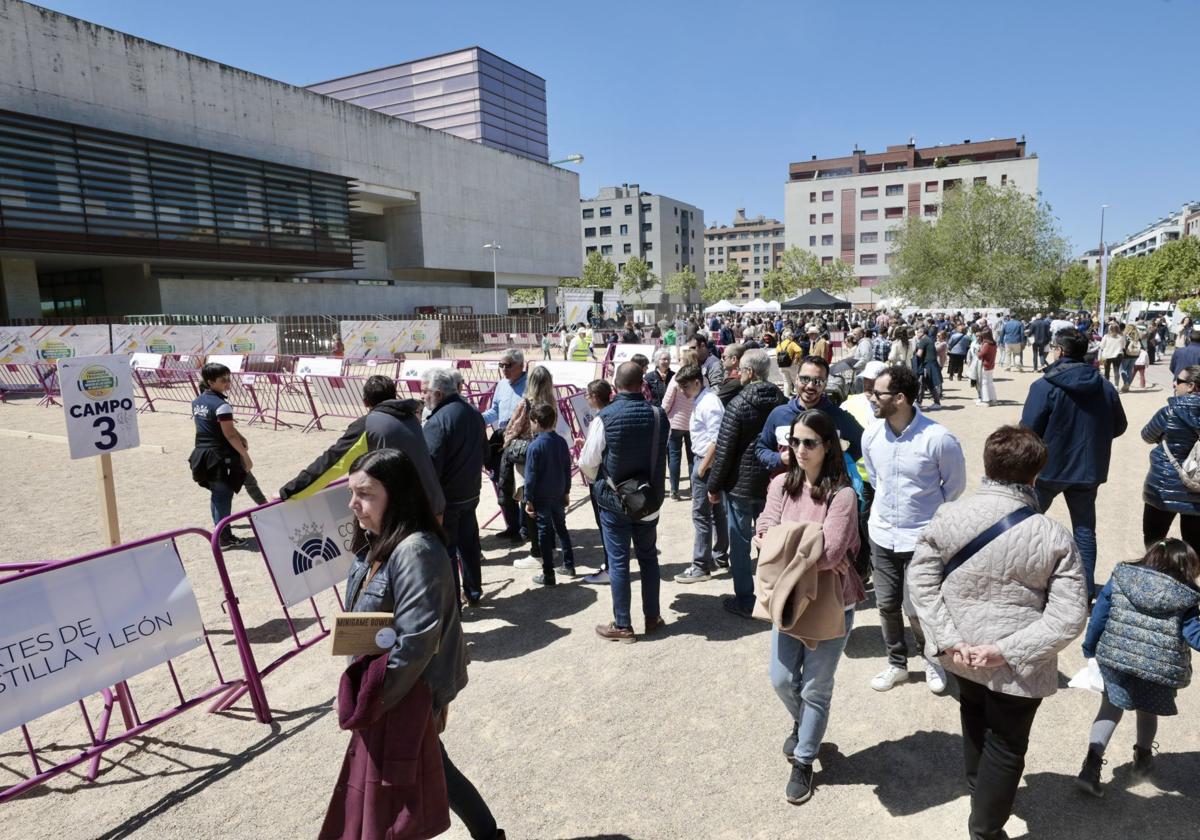 Las Cortes mantienen su jornada de puertas abiertas y sus actividades de ocio el 23 de abril