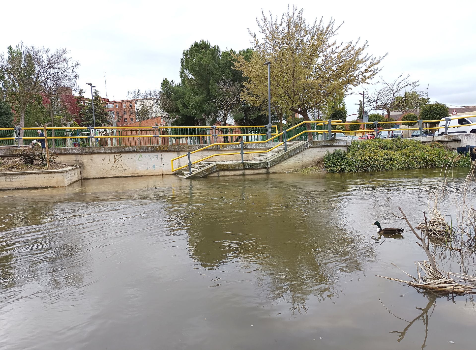 Las imágenes de la crecida del Pisuerga a su paso por Valladolid