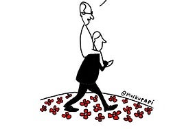 La viñeta de Muskupapi