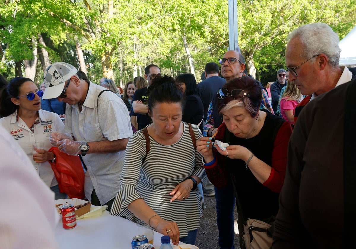 Fiesta en el parque del Sotillo por San Marcos