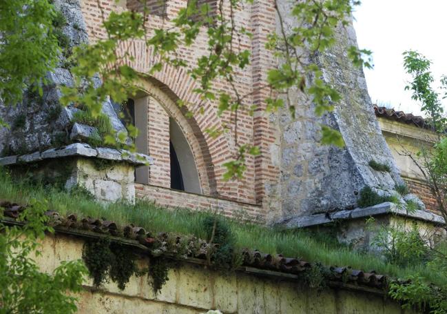 Detalle de la vegetación en el alerto de la cubierta del monasterio.