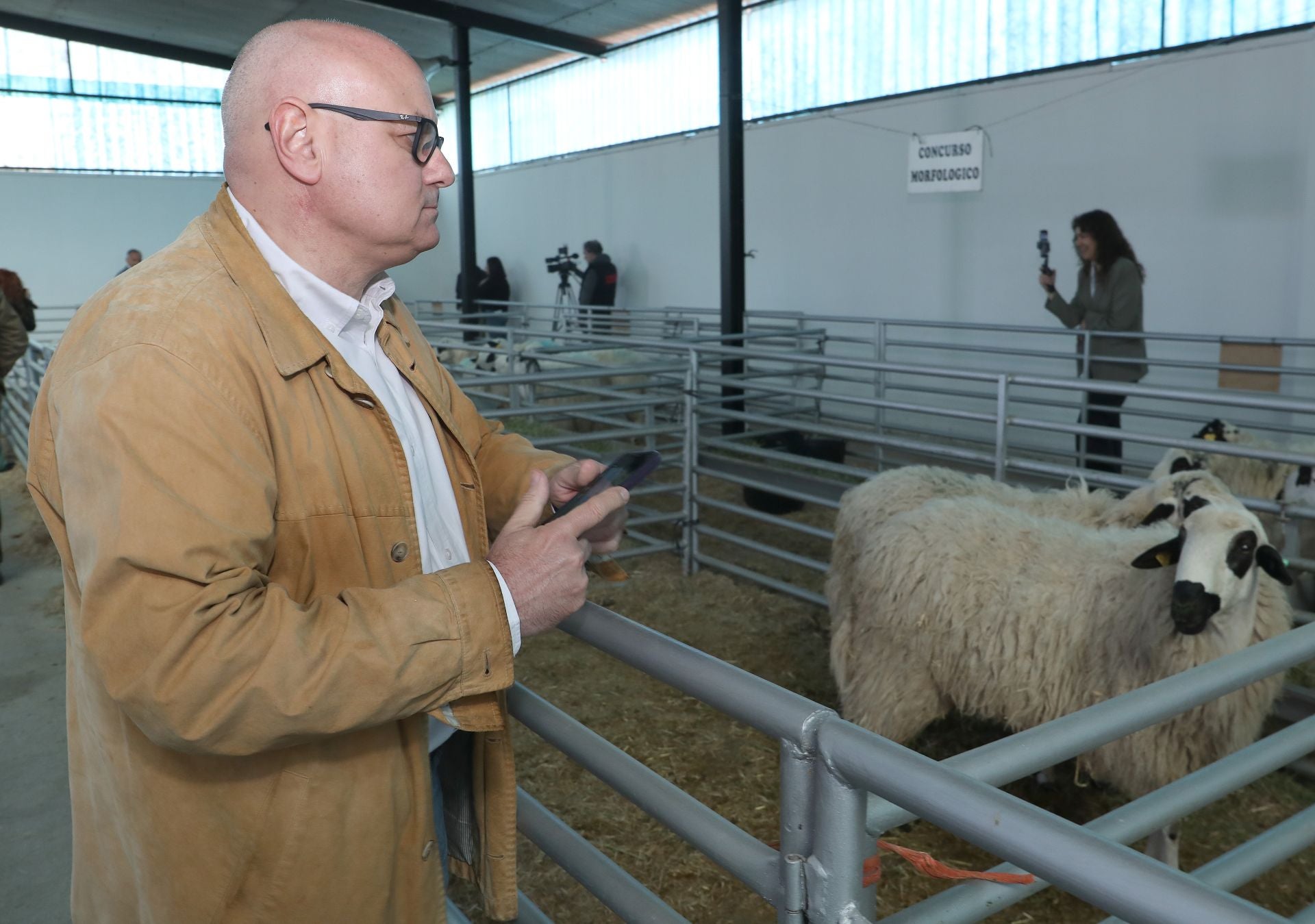 Así es el escaparate del ganado de Raza Churra