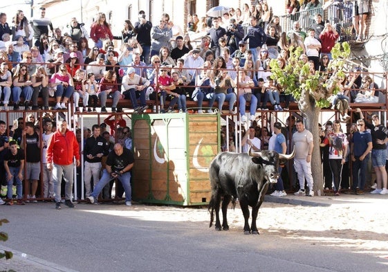 Dudón, en La Seca.