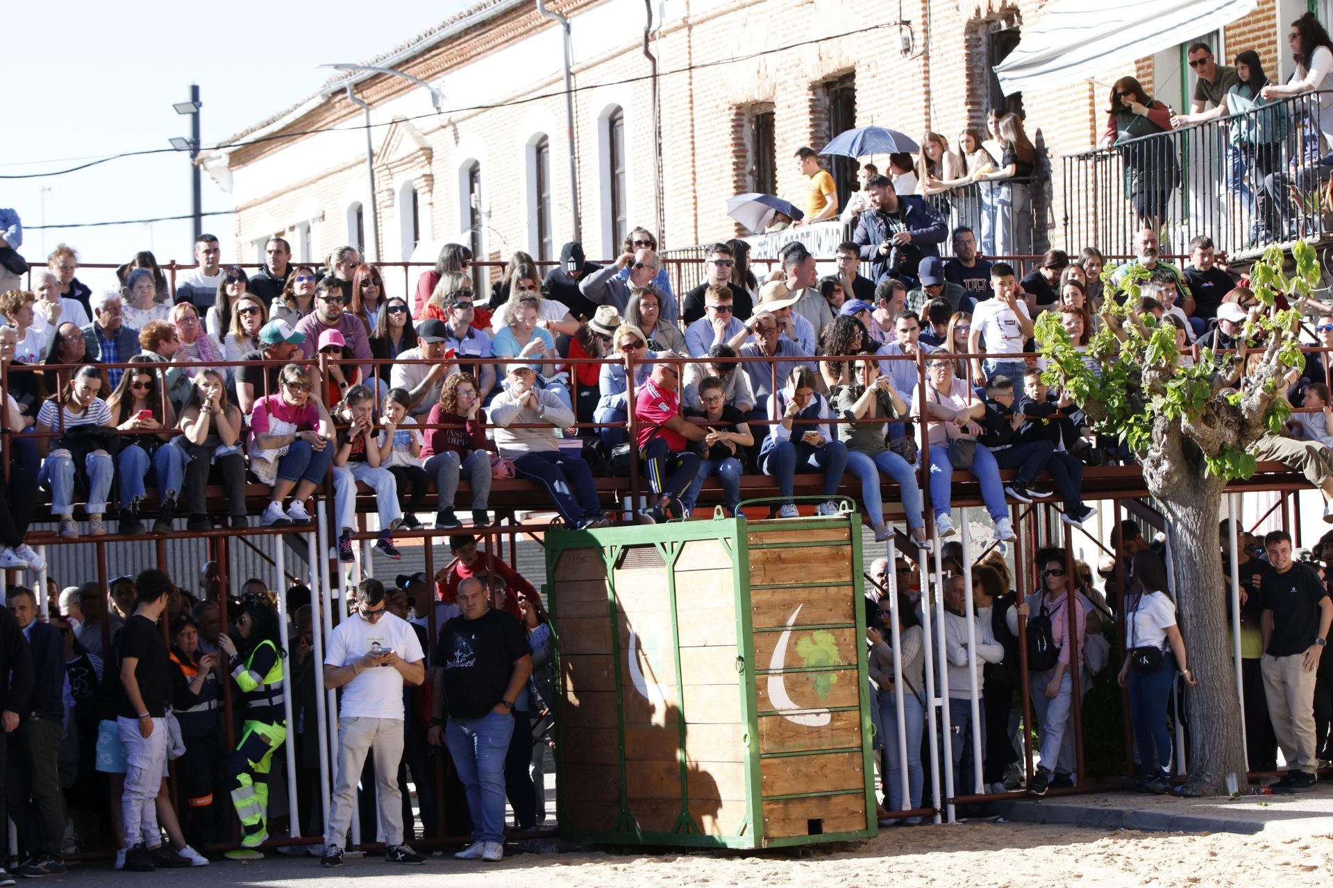 Las imágenes del Toro del Sarmiento de La Seca