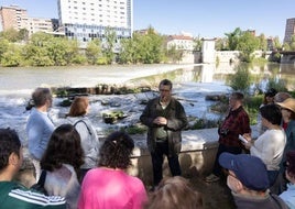 El arqueólogo Arturo Balado explica la riqueza del entorno del Puente Mayor en una actividad divulgativa organizada por la A.M.A. El Pisuerga.