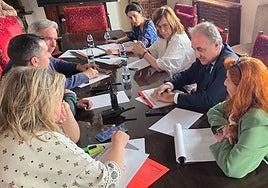 El delegado de la Junta, la presidenta de la Diputación, el subdelegado del Gobierno y representantes de instituciones sanitarias y de servicios sociales, reunidos en el Palacio Provincial.